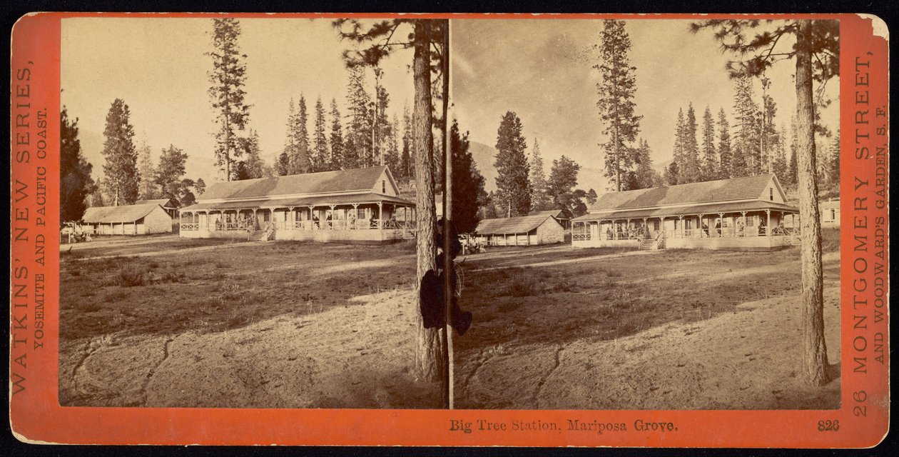Büyük Ağaç İstasyonu, Mariposa Korusu by Carleton Watkins