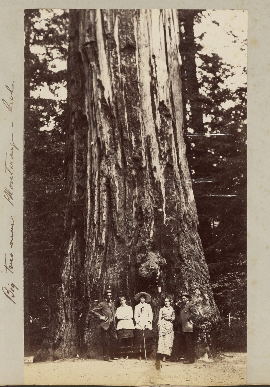  by Carleton Watkins