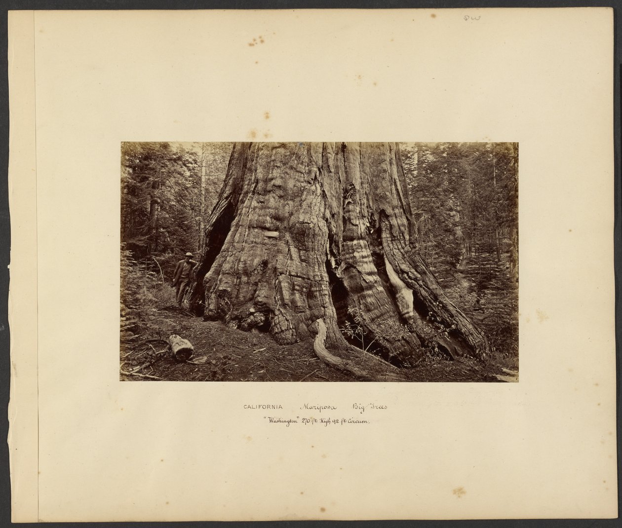  by Carleton Watkins