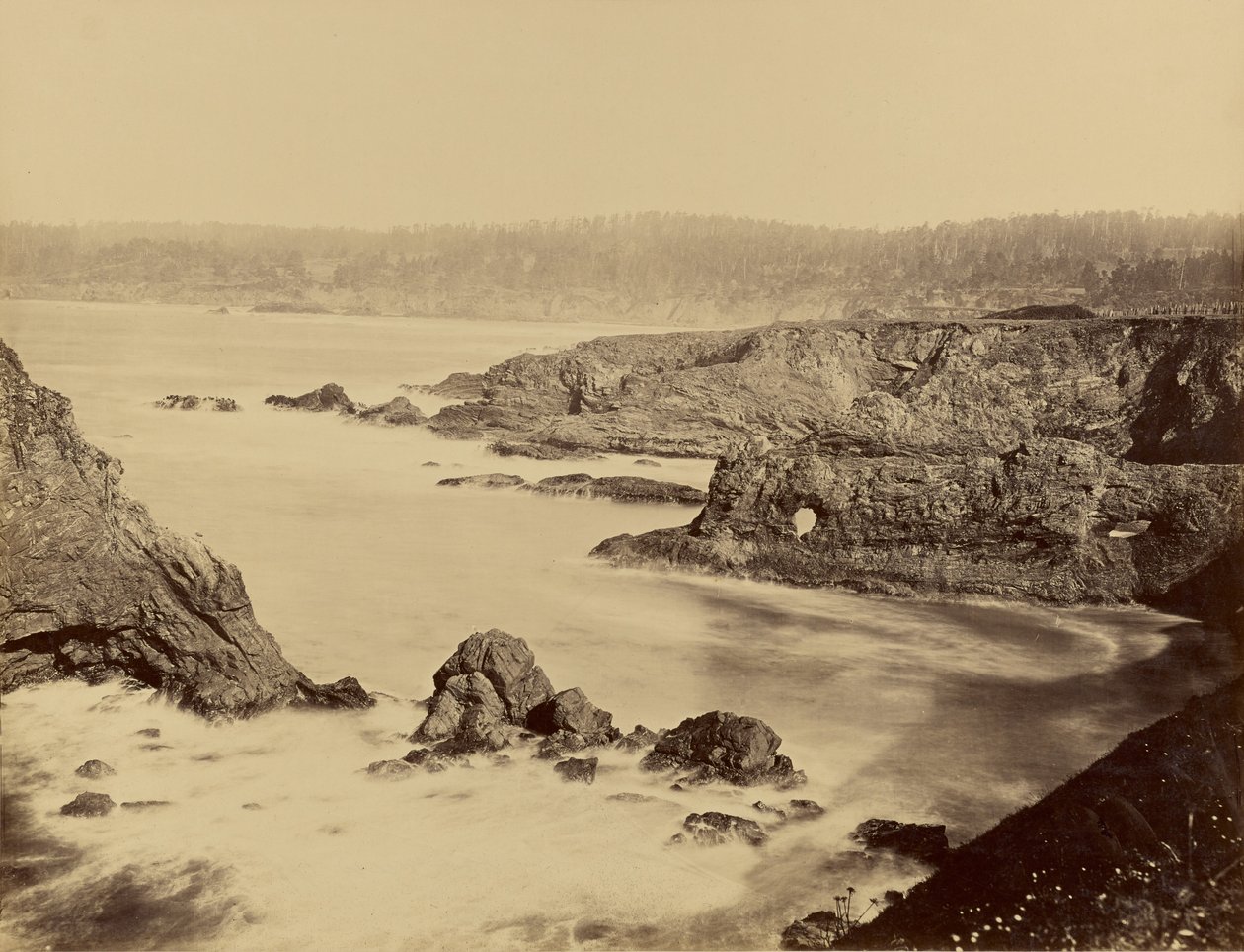  by Carleton Watkins