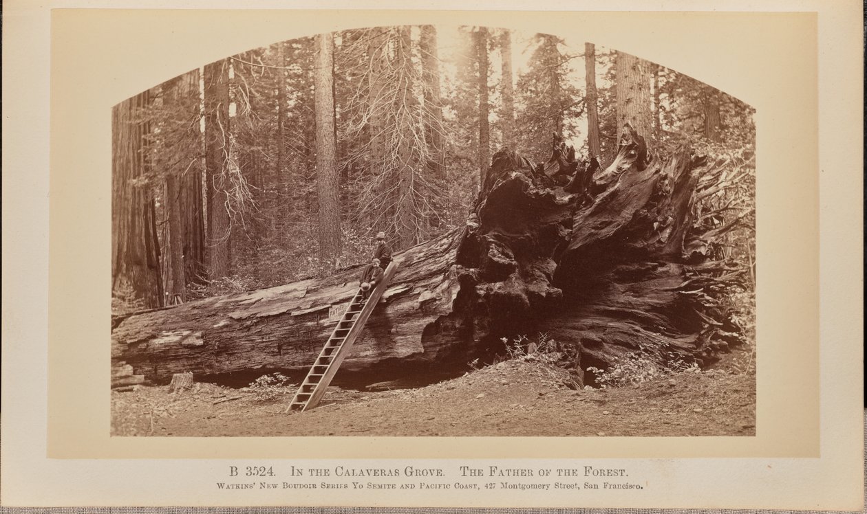 by Carleton Watkins