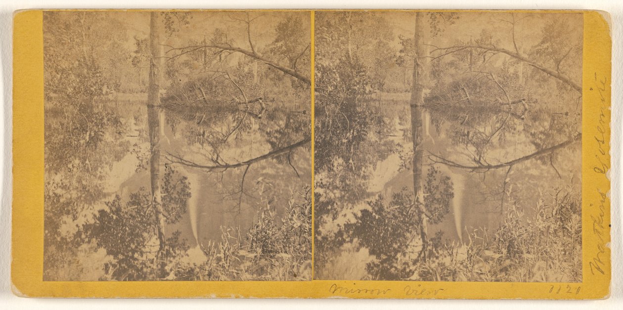  by Carleton Watkins