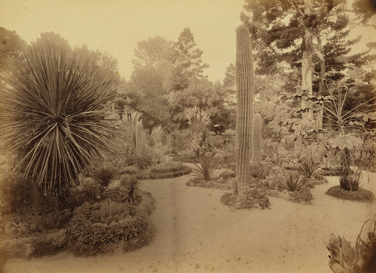  by Carleton Watkins