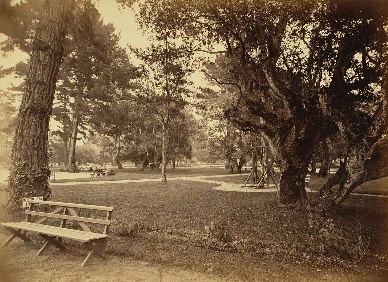  by Carleton Watkins