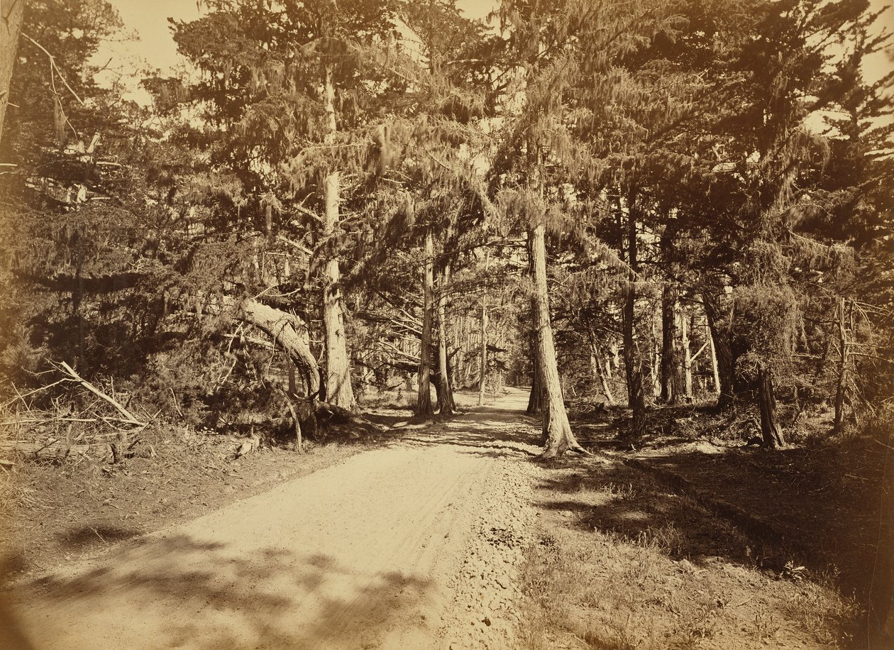 by Carleton Watkins
