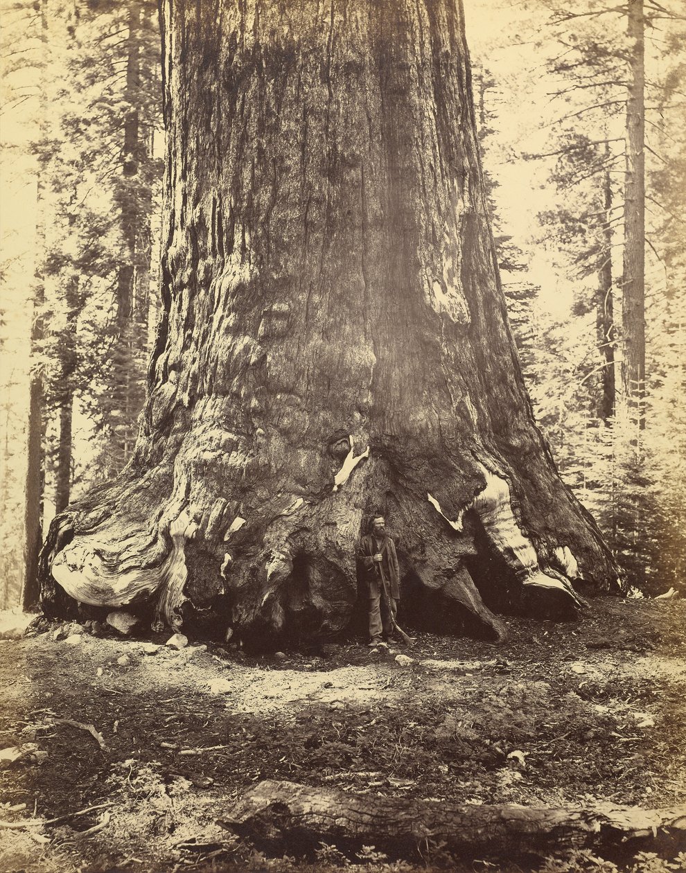  by Carleton Watkins
