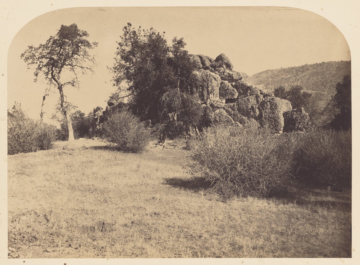  by Carleton Watkins