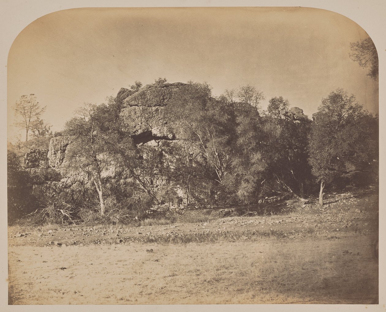  by Carleton Watkins