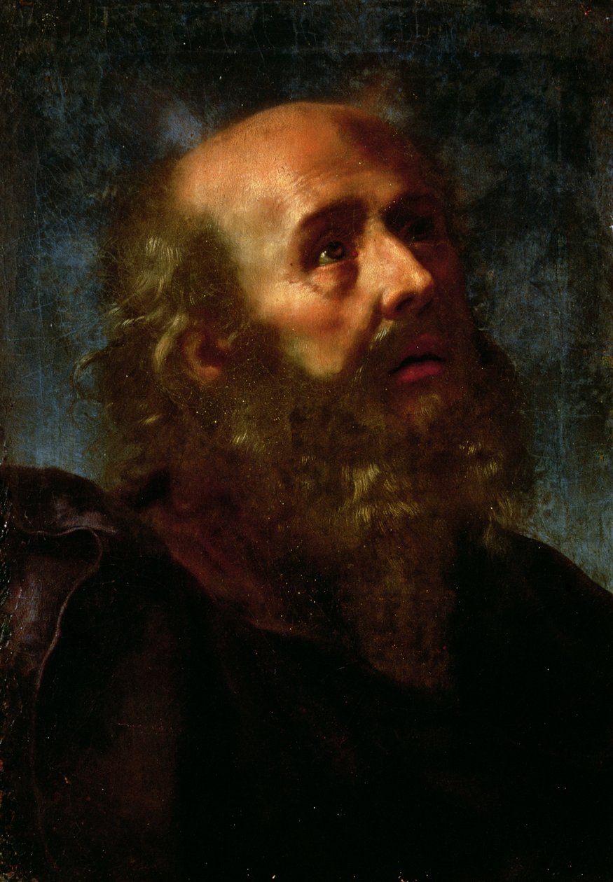 Musa by Carlo Dolci