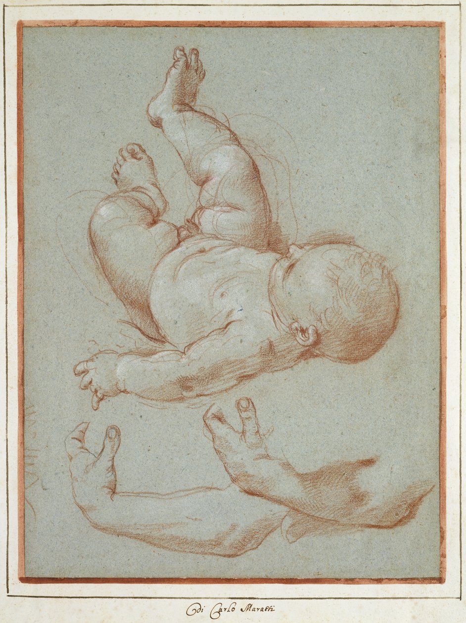Bebek Romulus ve bir adamın sol kolunun iki çalışması (kağıt üzerinde tebeşir) by Carlo Maratta or Maratti