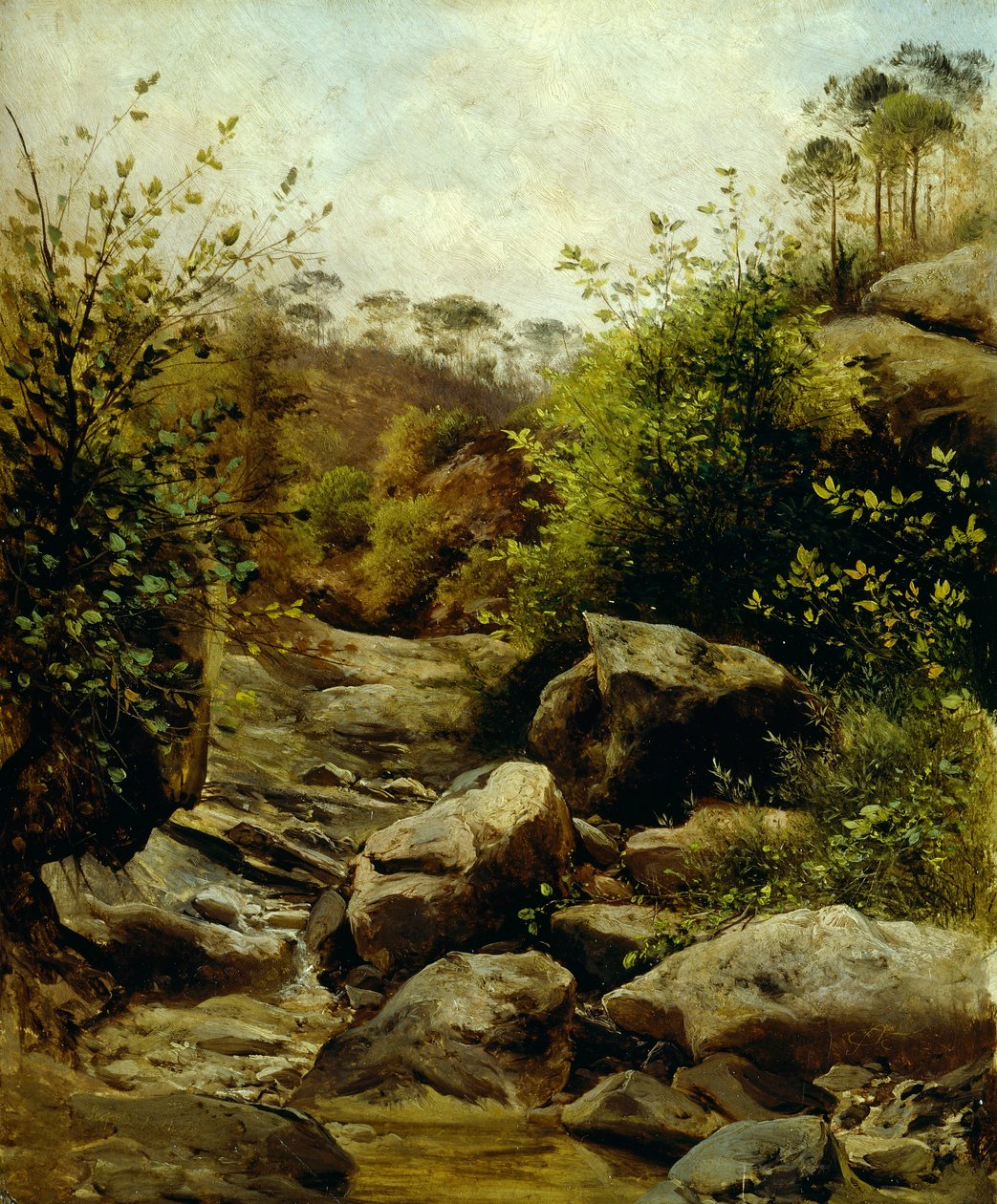 Scopeti