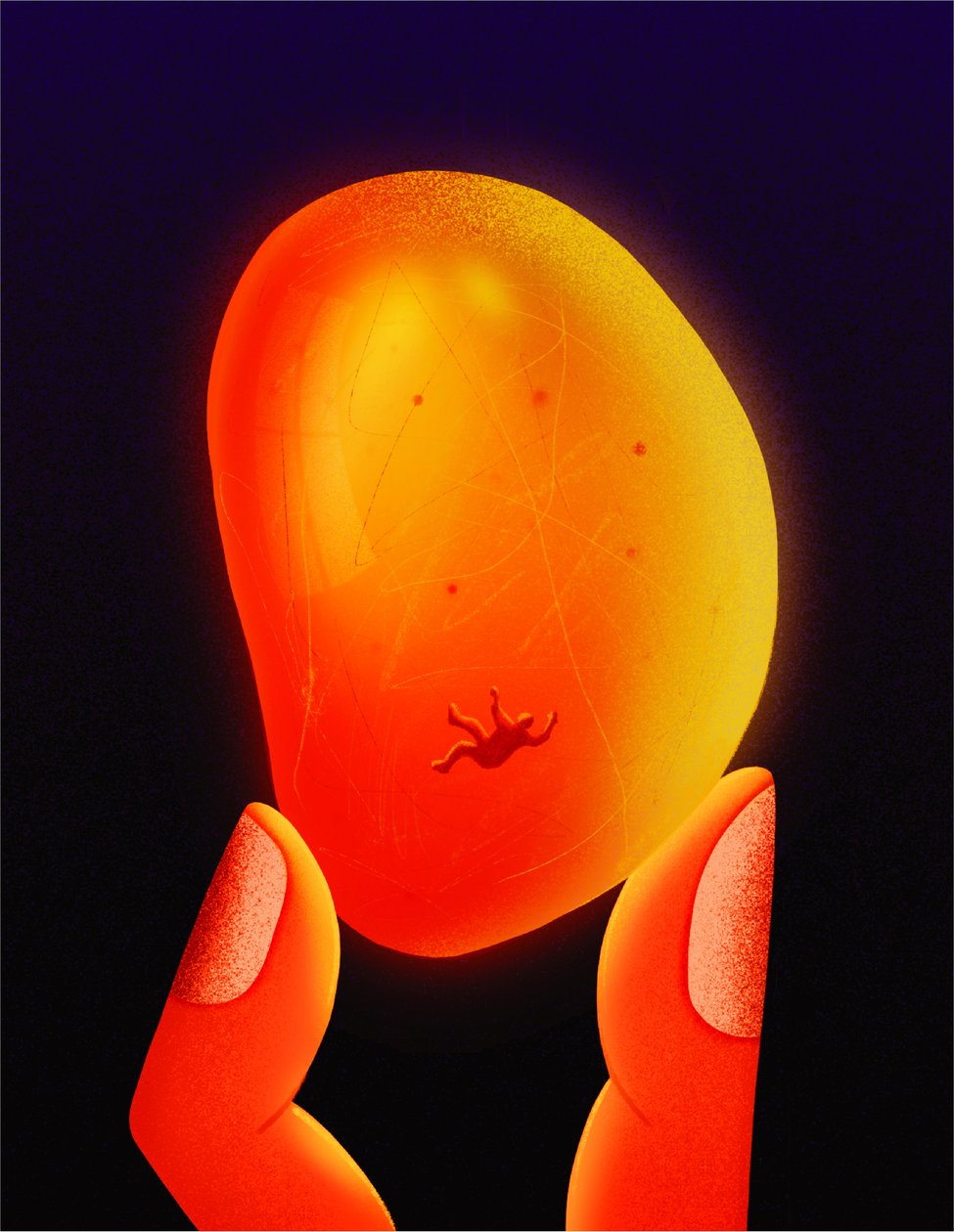  by Carlo Alberto Giardina