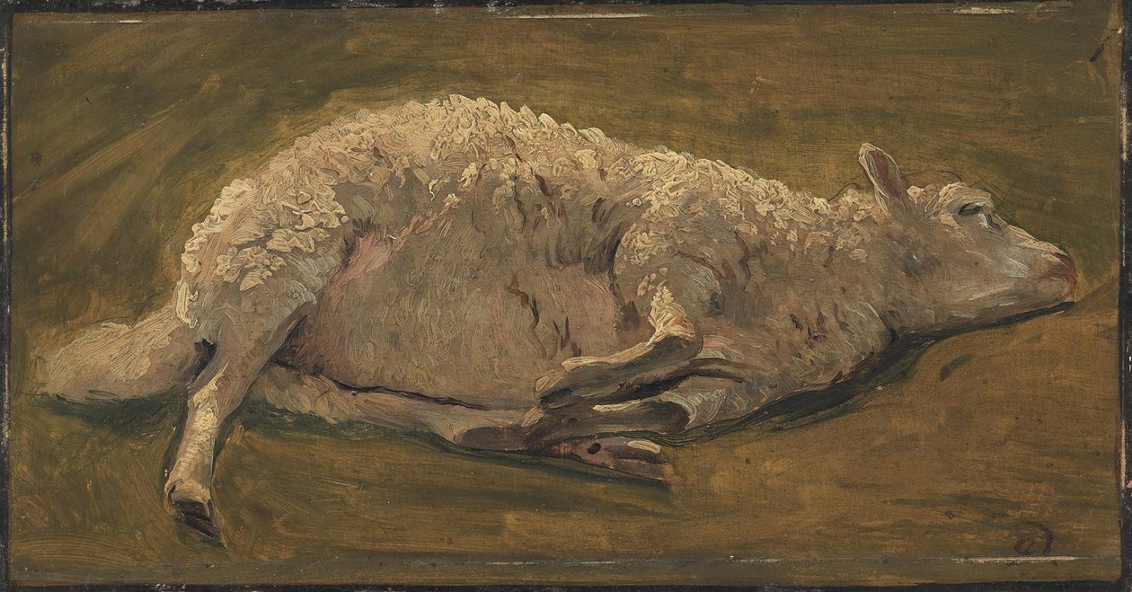Yalancı koyunun incelenmesi by Carlo Dalgas