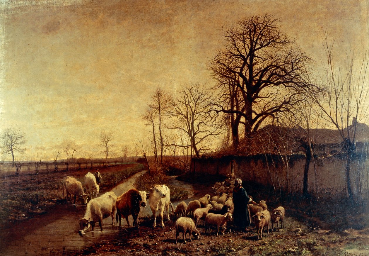 Suya Sürülen Hayvanlar, Carlo Pittara by Carlo Pittara