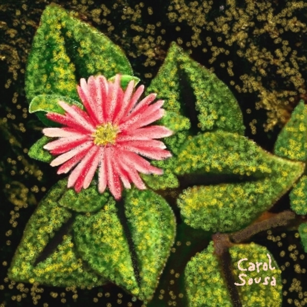 Flor silvestre by Carol Sousa Cuello