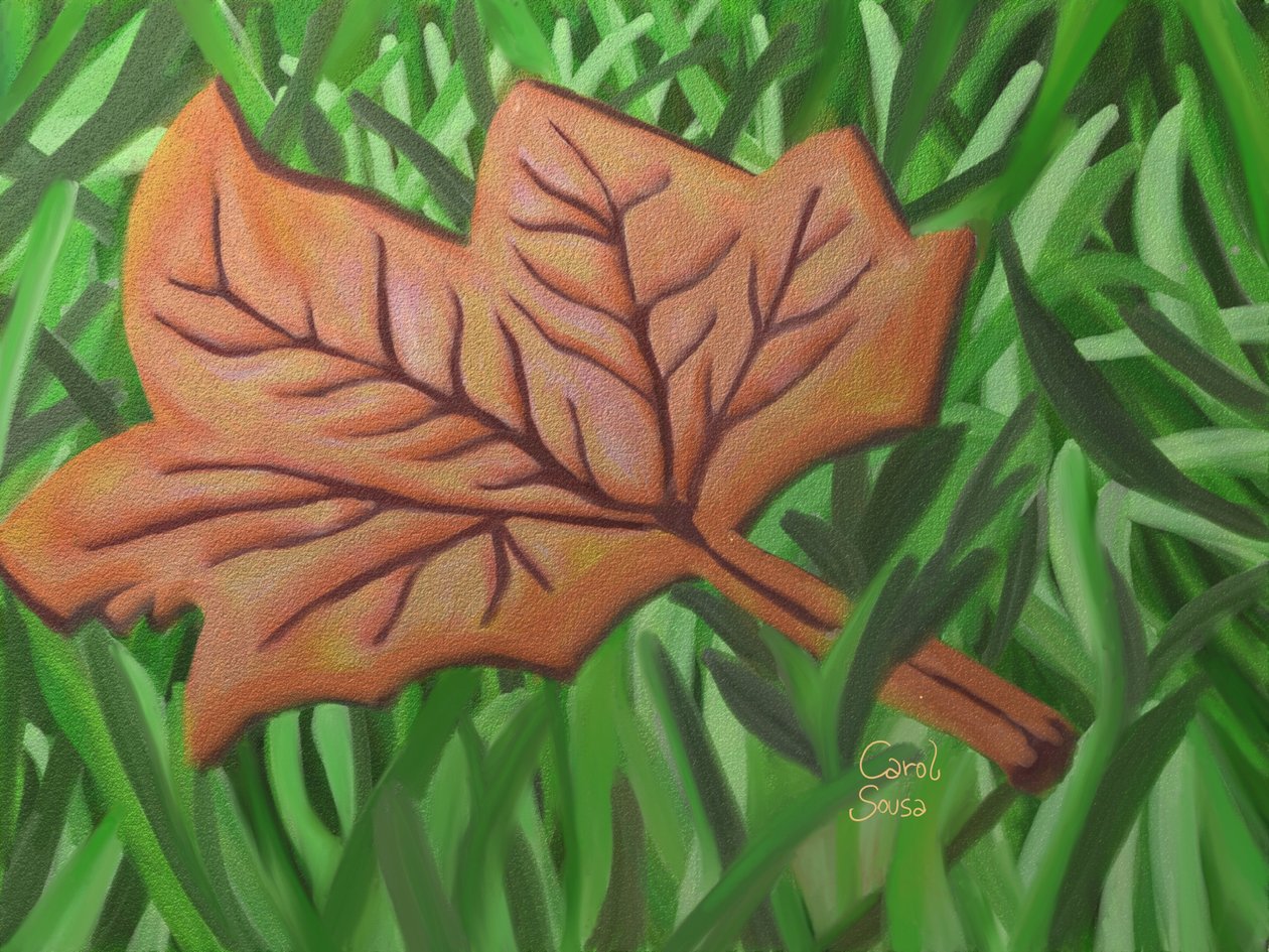 Sonbahar yaprağı by Carol Sousa Cuello