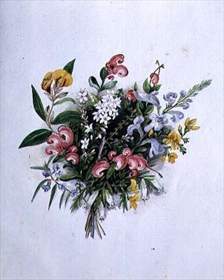 Yaz Çiçeklerinin Vecizesi, 19. yüzyıl by Caroline Louisa Meredith