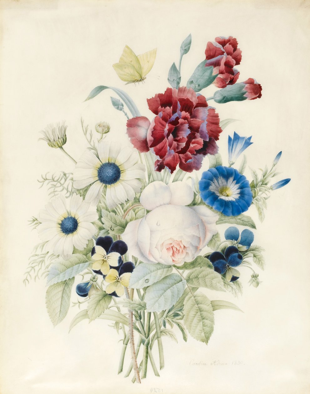 Gül, Mavi Kıvrım ve Hercai Menekşe İçeren Çiçek Sprey, 1830 (kağıt üzerinde wc ve gövde rengi) by Caroline Adrien