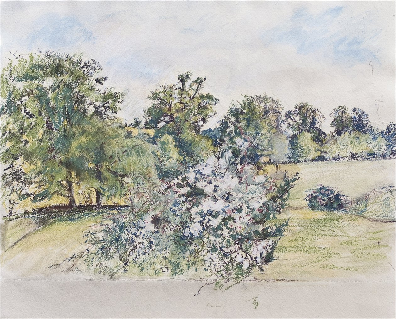 Penceremizden Ağustos, 2007 (kağıt üzerine pastel & wc) by Caroline Hervey Bathurst