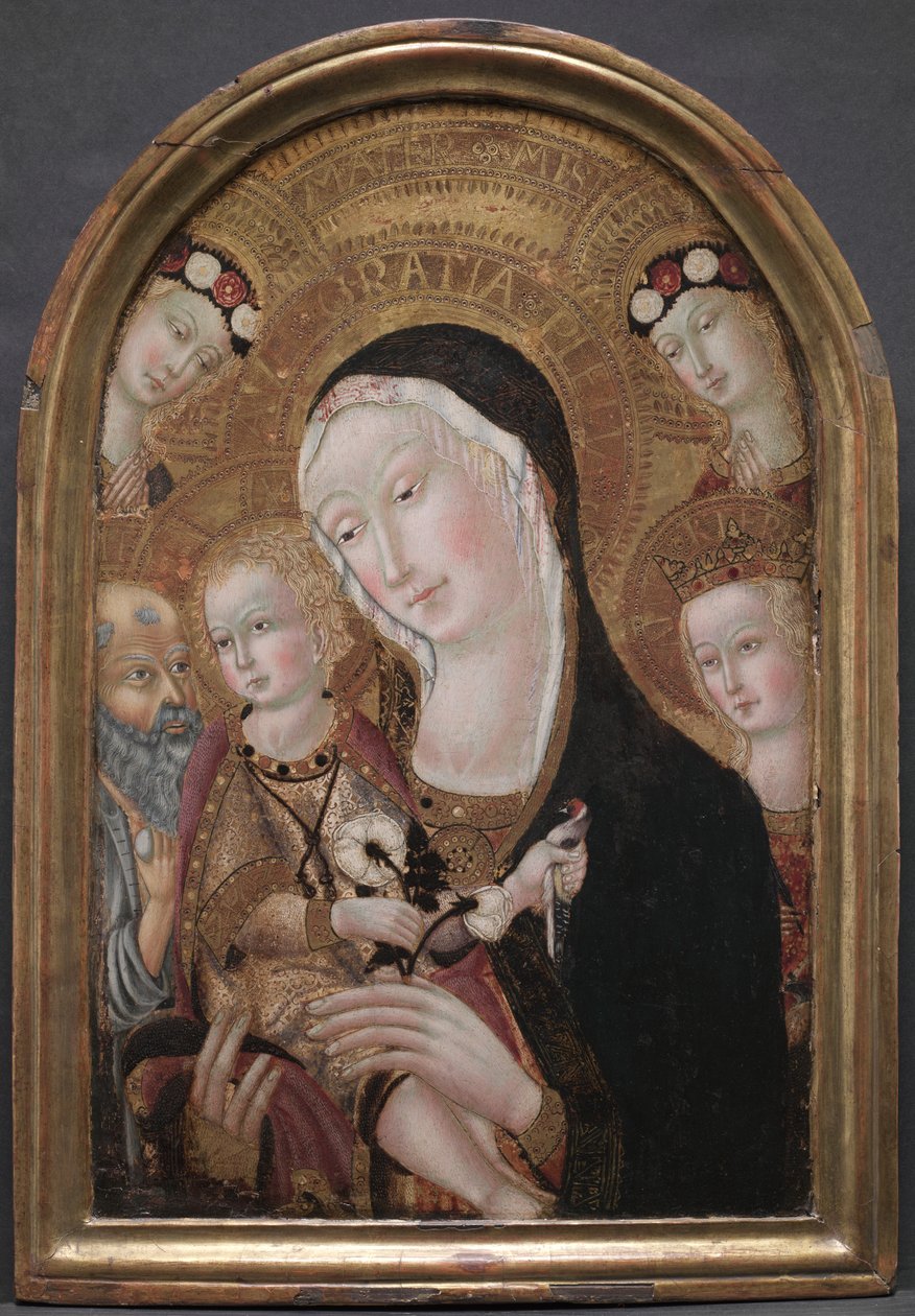 Aziz Jerome ve İskenderiyeli Aziz Catherine ile Bakire ve Çocuk by Carolino da Viterbo