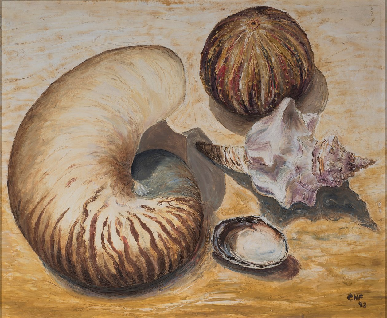 Deniz kabukları, 1993 (kağıt üzeri yağlı boya) by Carolyn Hubbard Ford