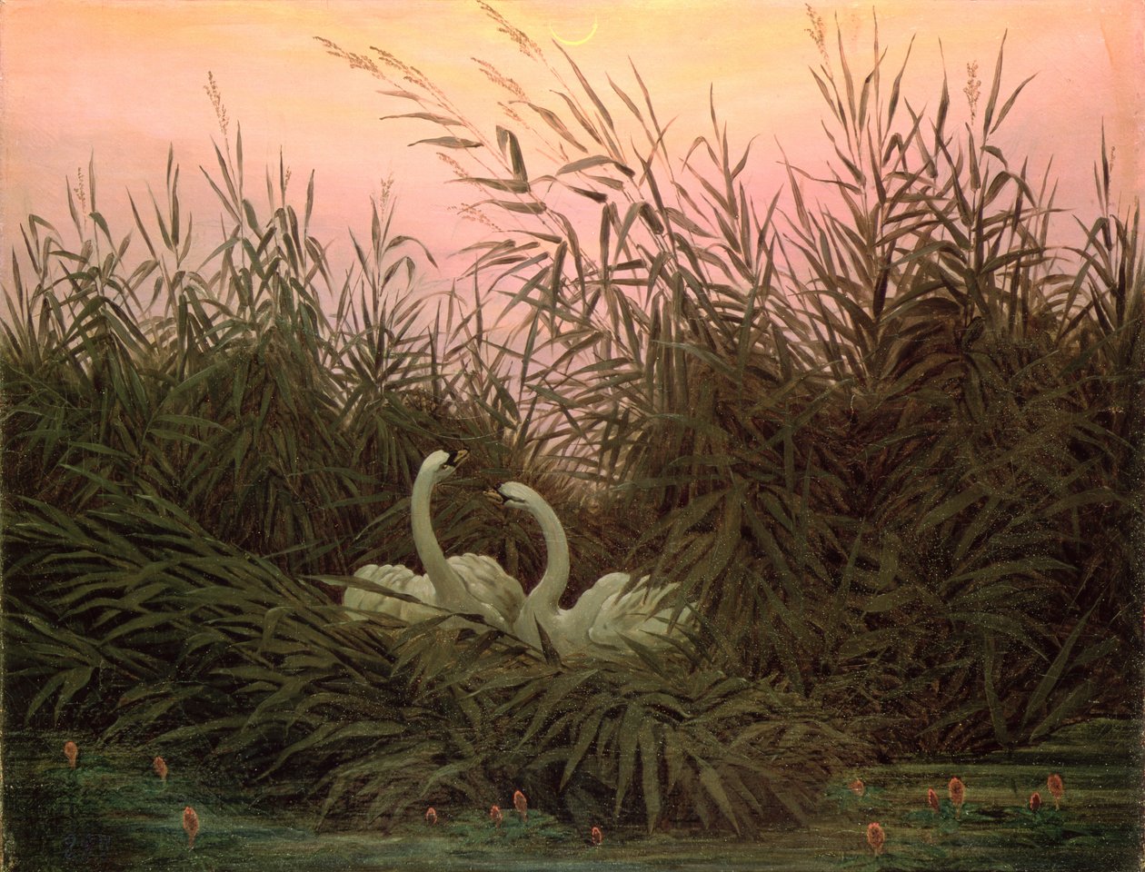 Sazlıktaki Kuğular, 1820 dolayları by Caspar David Friedrich