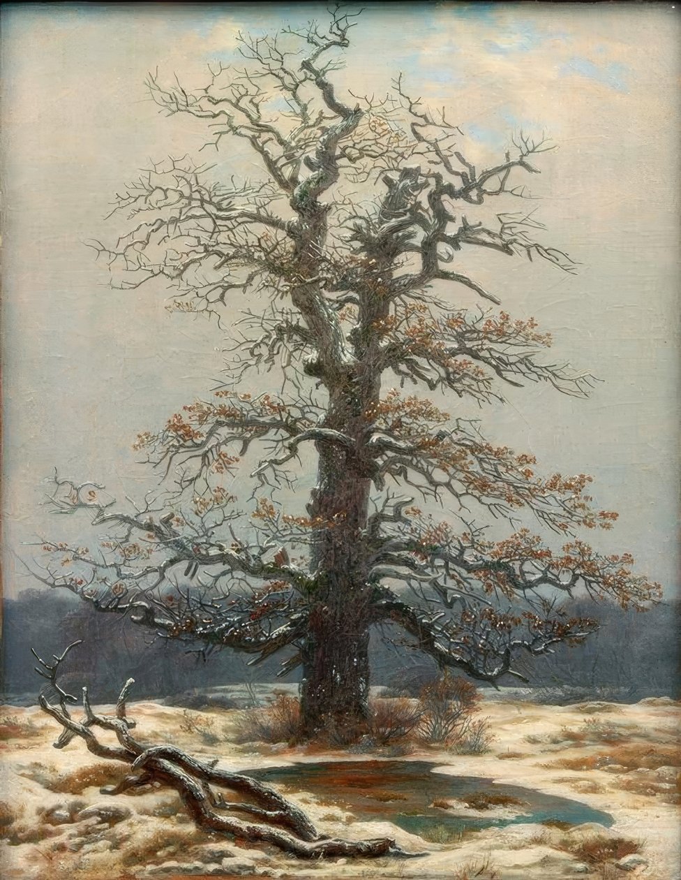 Karda meşe ağacı by Caspar David Friedrich