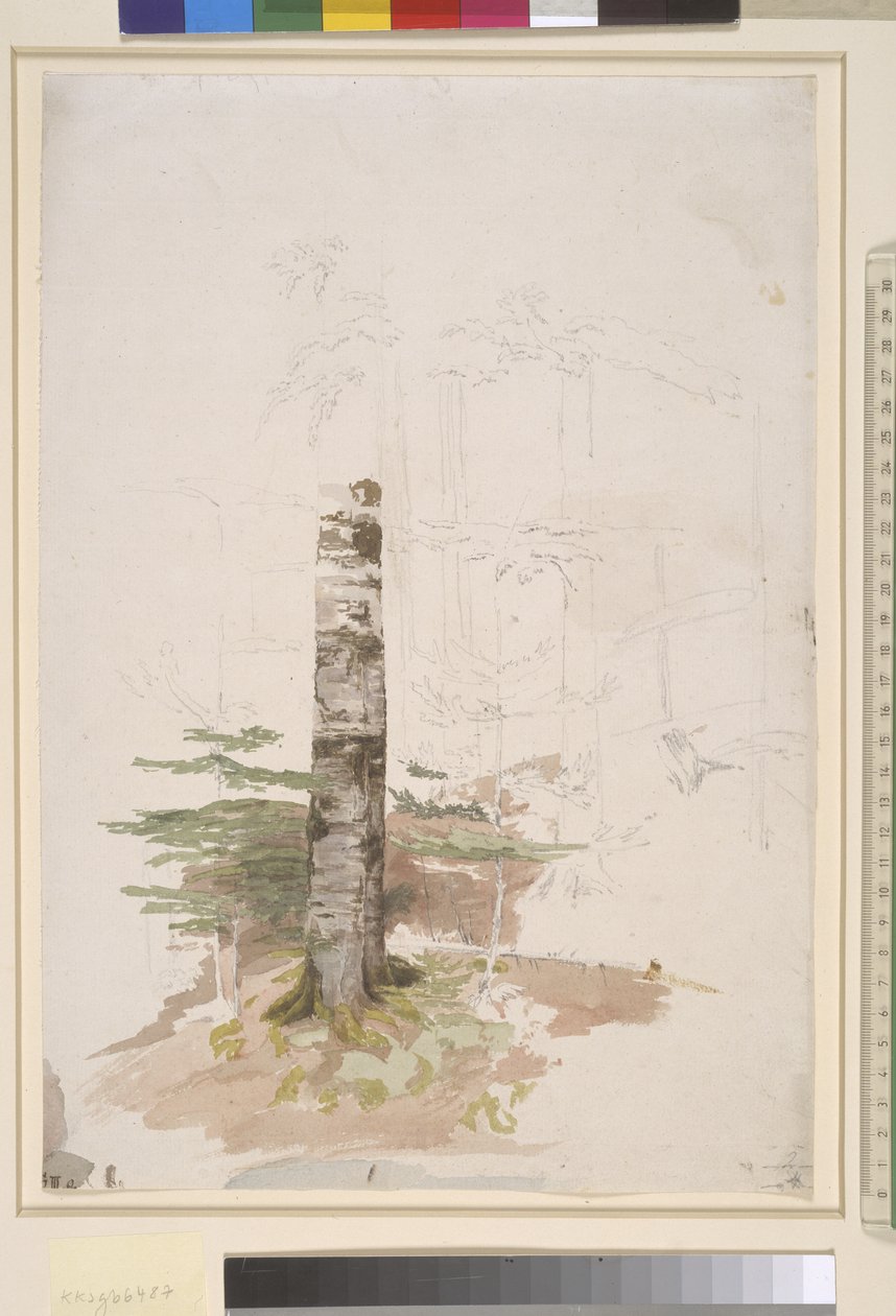 İğne yapraklı bir ormanın içinden çalışma by Caspar David Friedrich