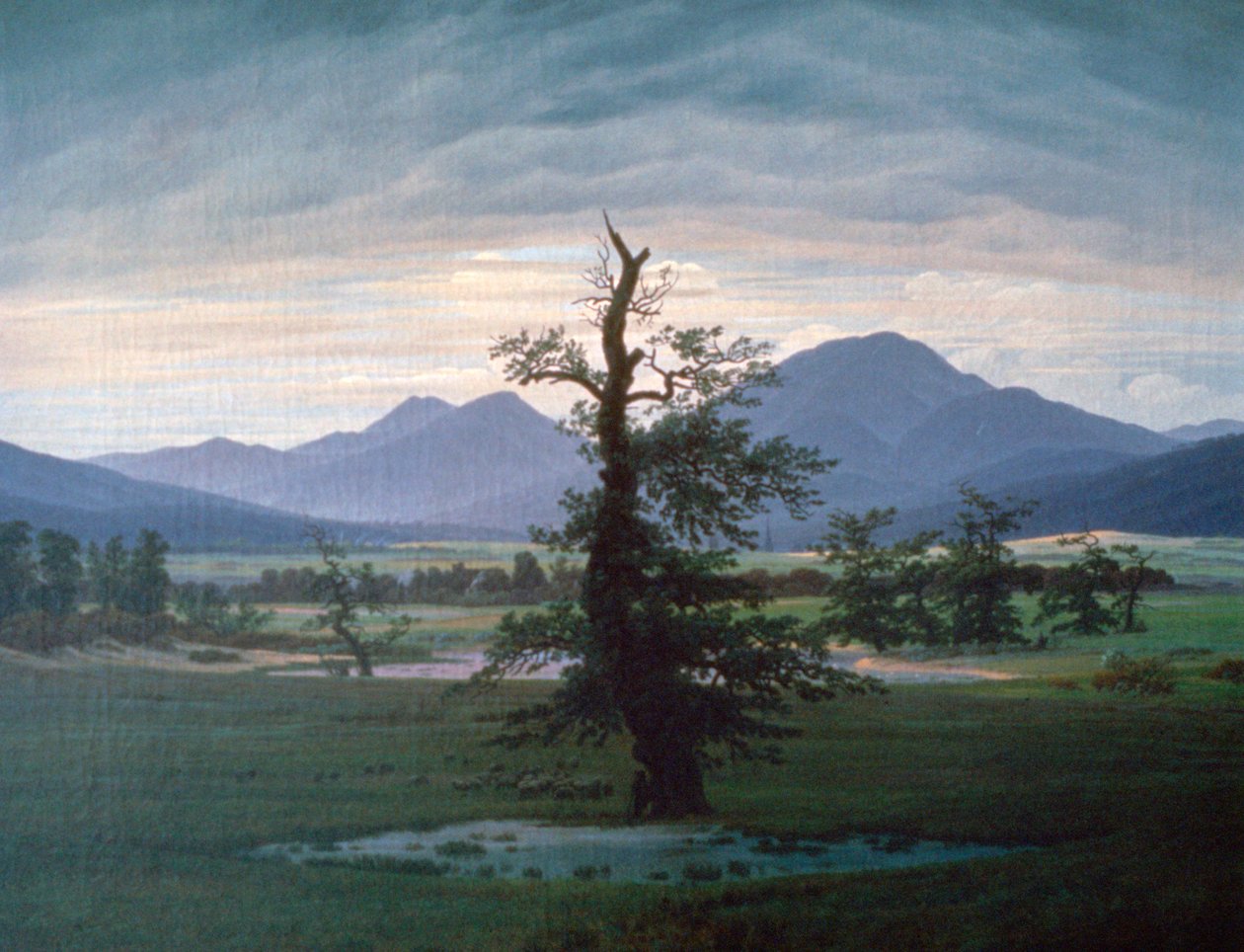 Yalnız Ağaç, 1823 by Caspar David Friedrich