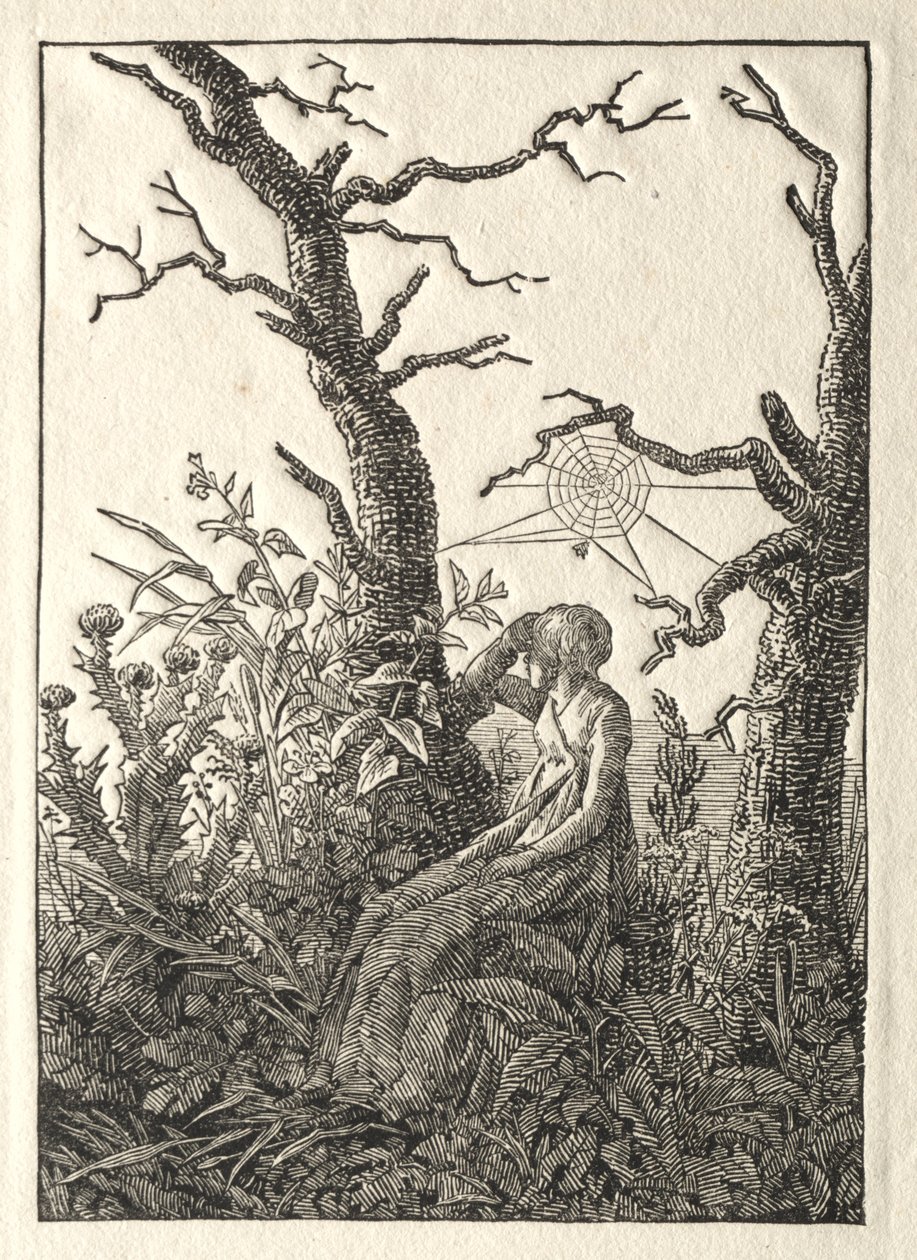 Çıplak Ağaçlar Arasında Örümcek Ağı Olan Kadın, 1803. by Caspar David Friedrich