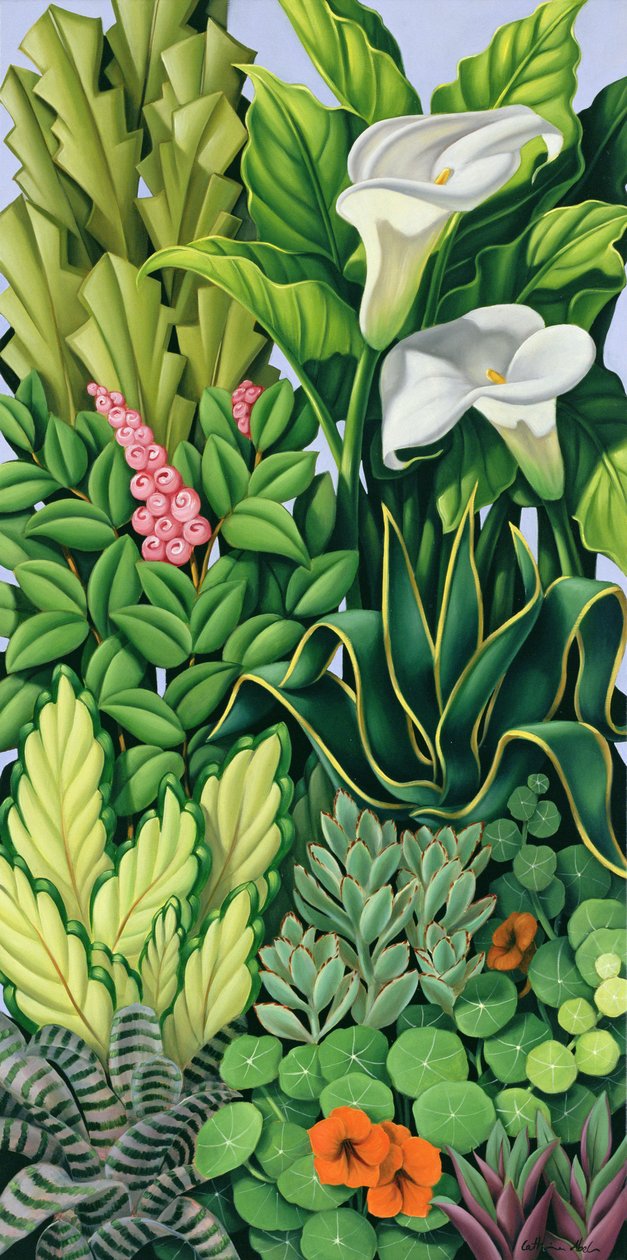yeşillik ben by Catherine Abel
