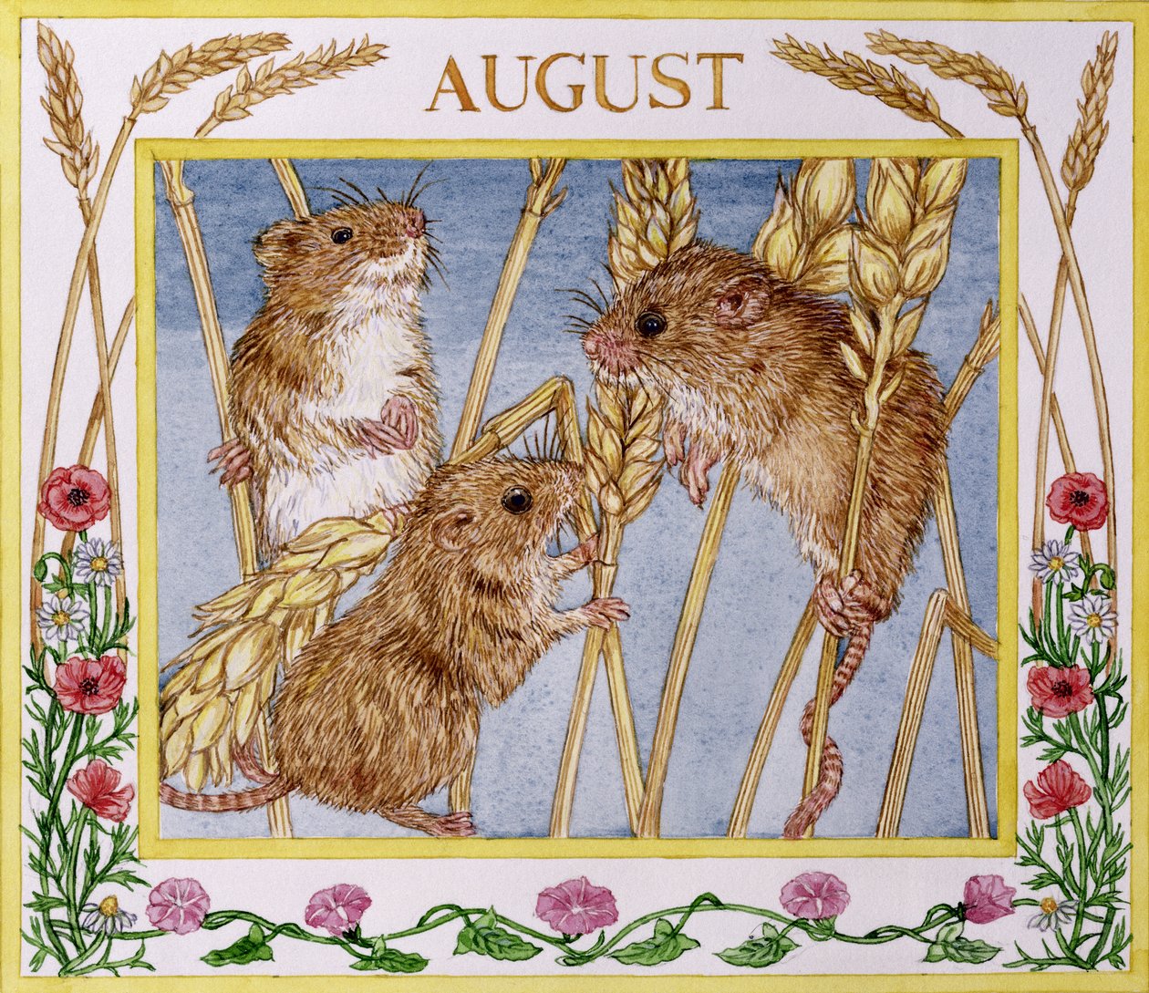 Ağustos (kağıt üzerinde wc) by Catherine Bradbury