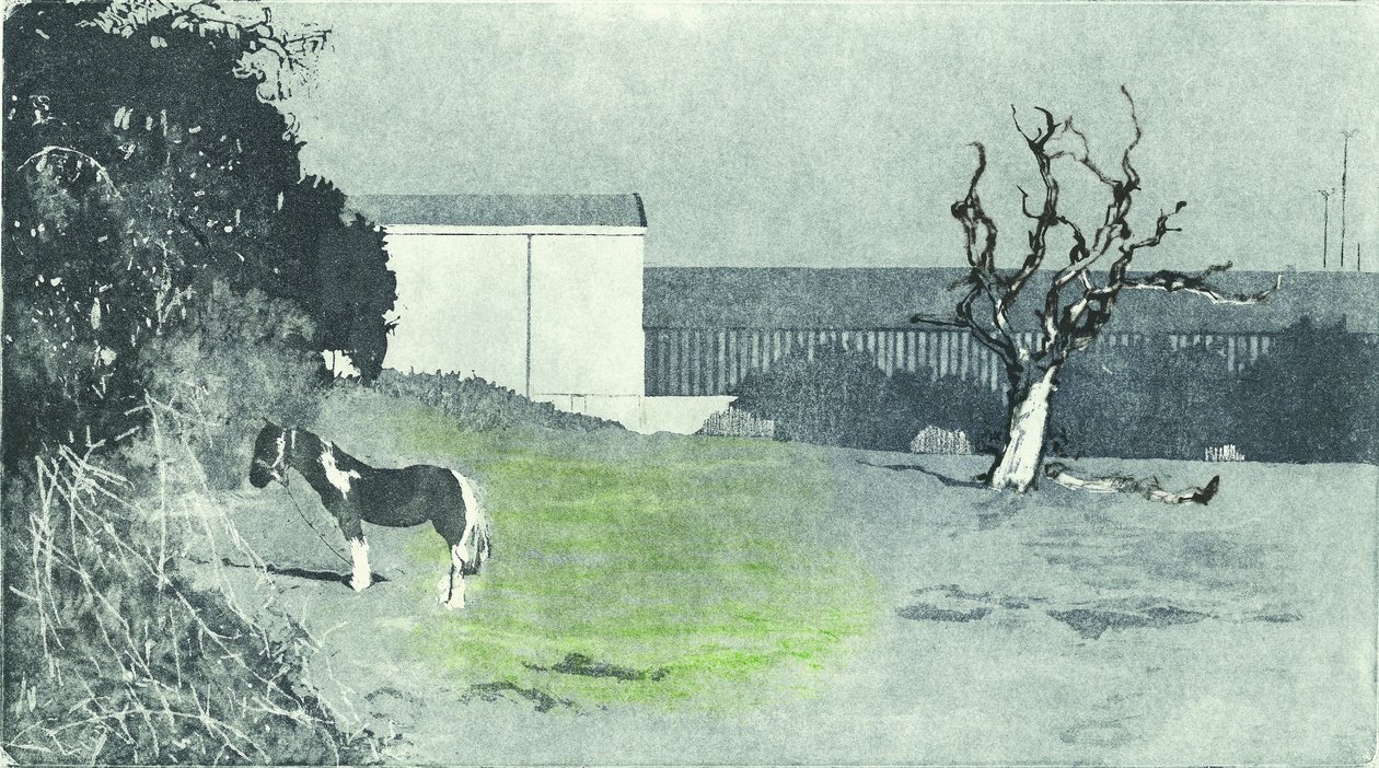 Facing new growth, 2016 (Aquatint gravür ve drypoint) by Catherine Sutcliffe-Fuller