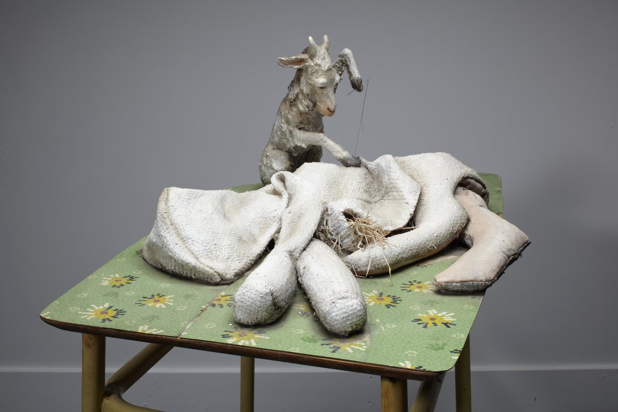  by Cathie Pilkington
