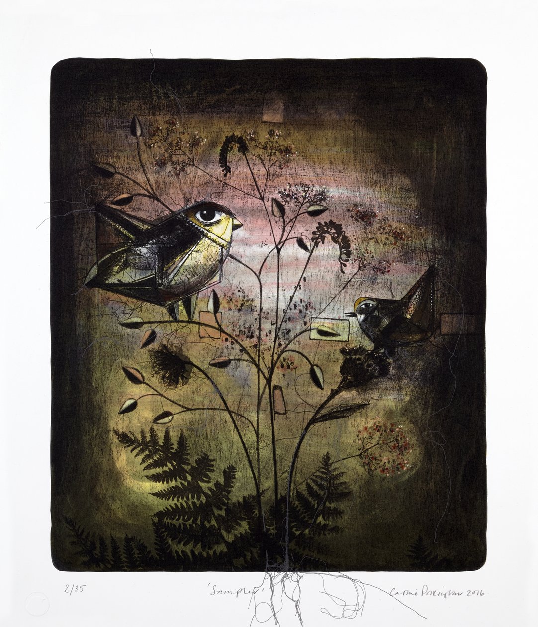  by Cathie Pilkington