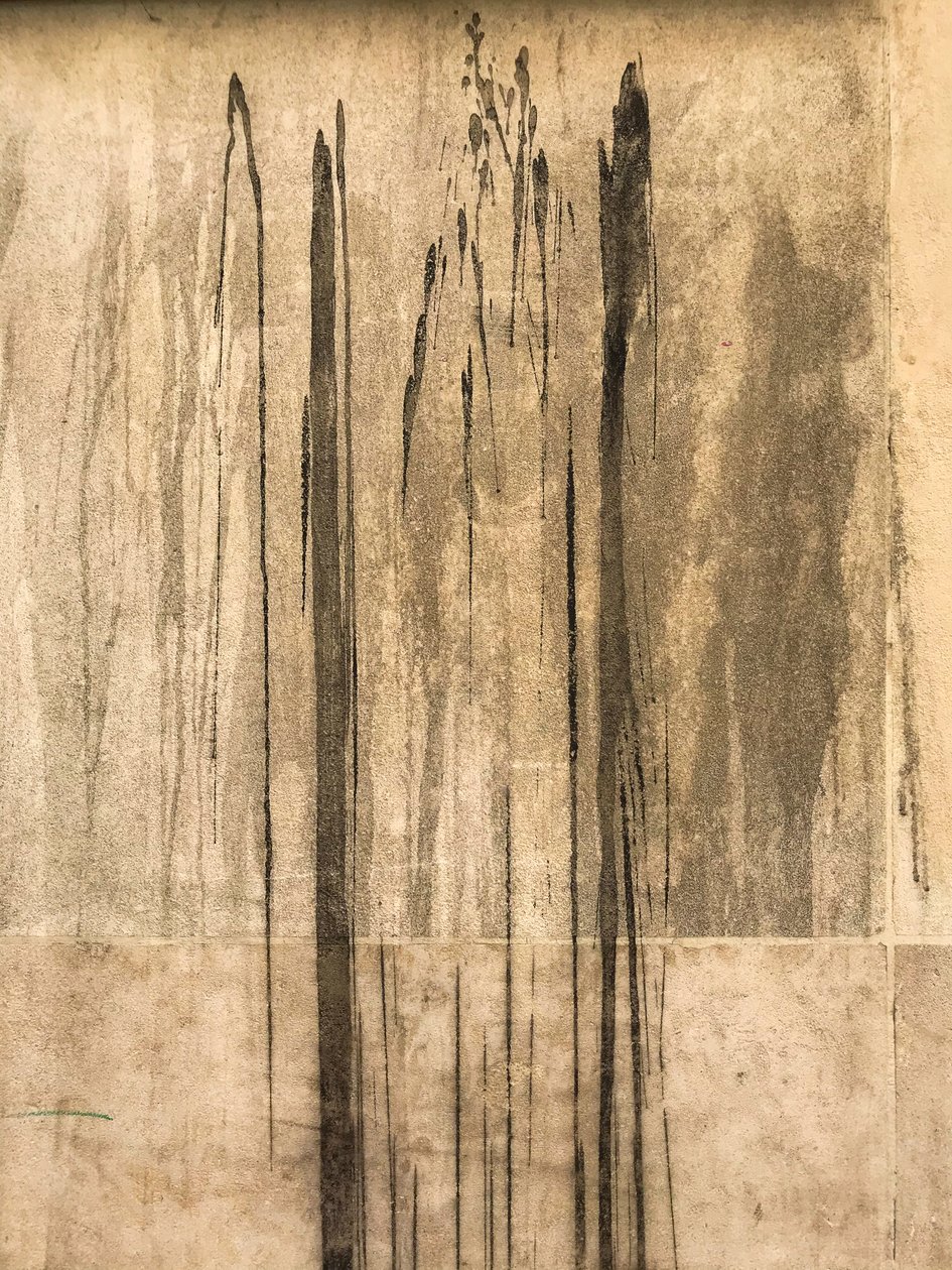  by Cécile Jamet