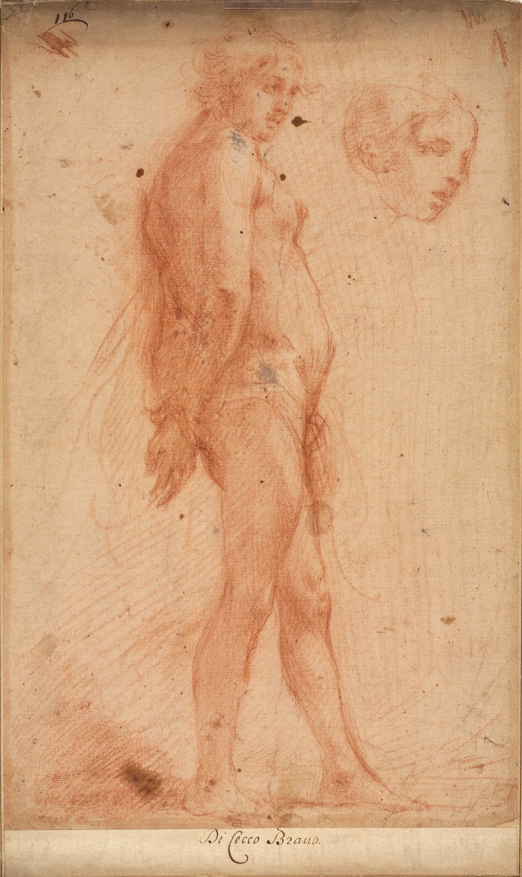 Üç Çeyrek Profilde Başın Çalışması ile Çıplak Bir Erkek Çıplak Çalışması, c. 1640. by Cecco Bravo