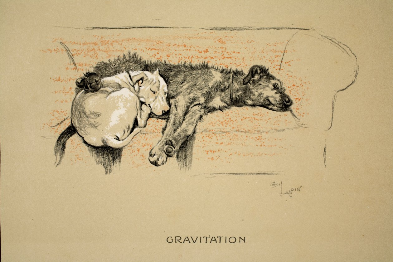 Gravitasyon, 1930, 