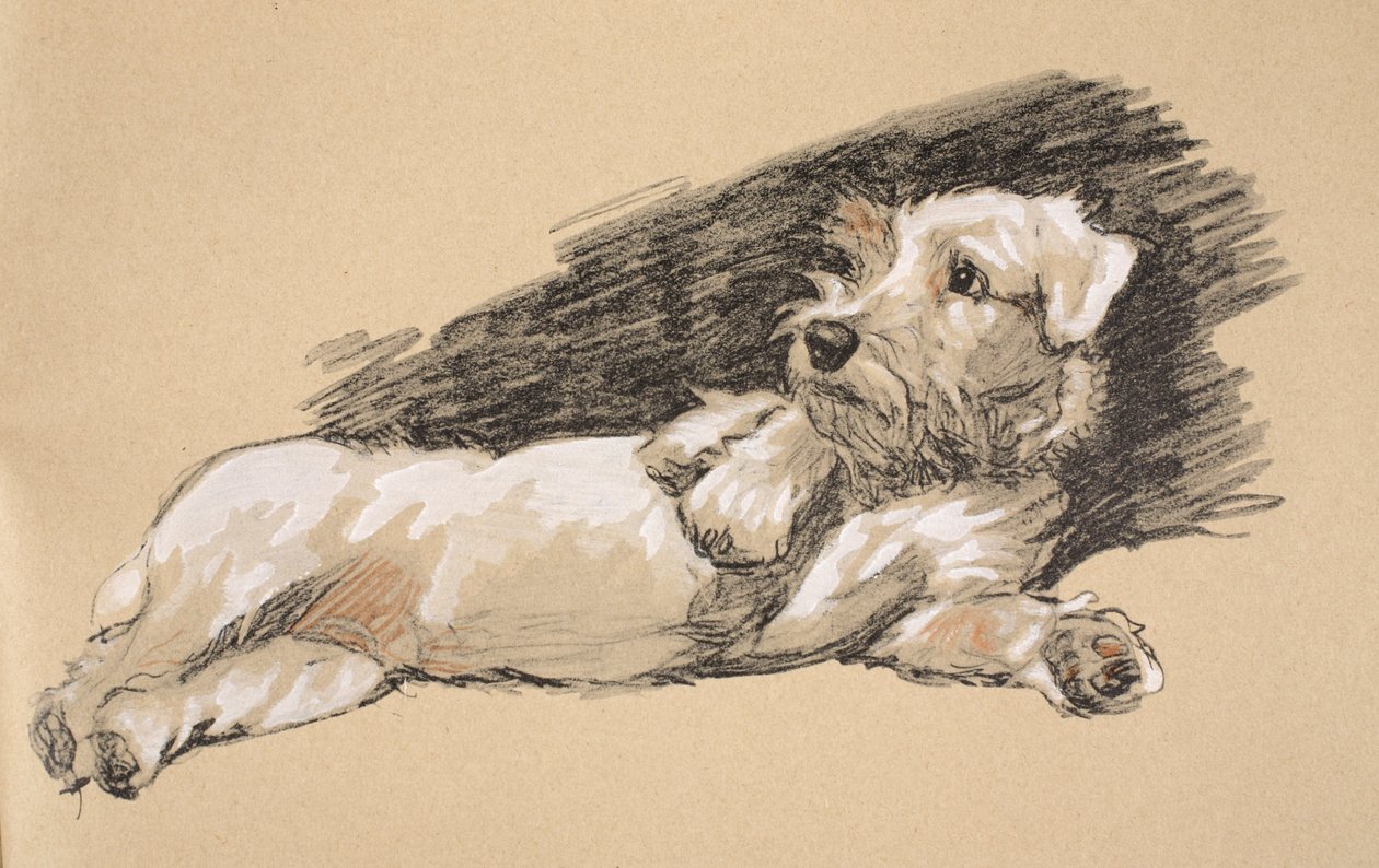 Terrier Ayrıntısı, 1930, 
