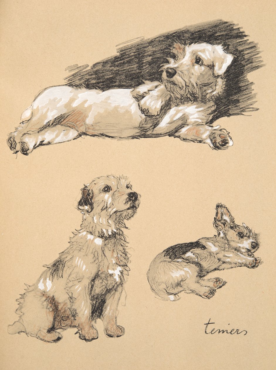 Teriyer, 1930, 