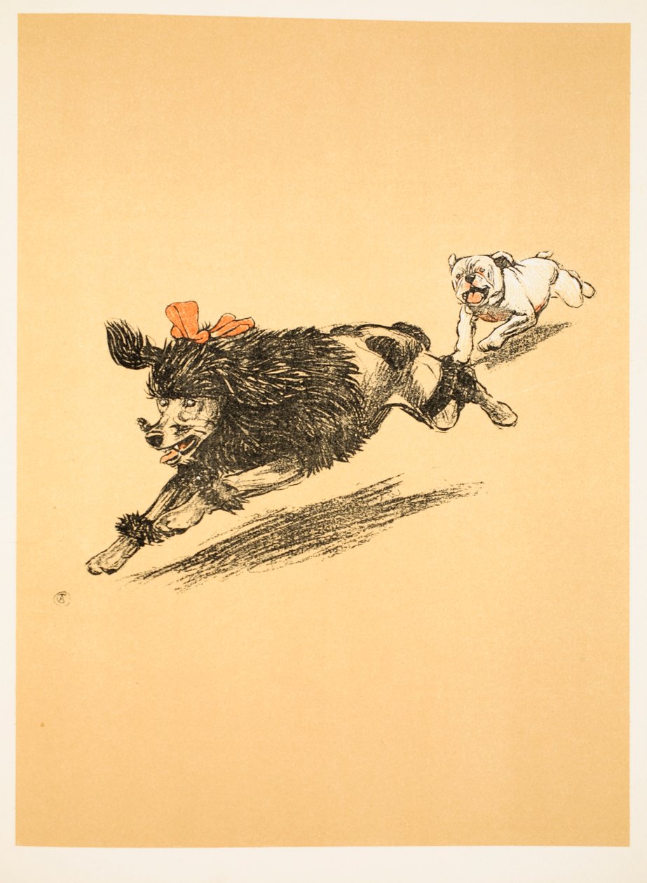 The Chase, 