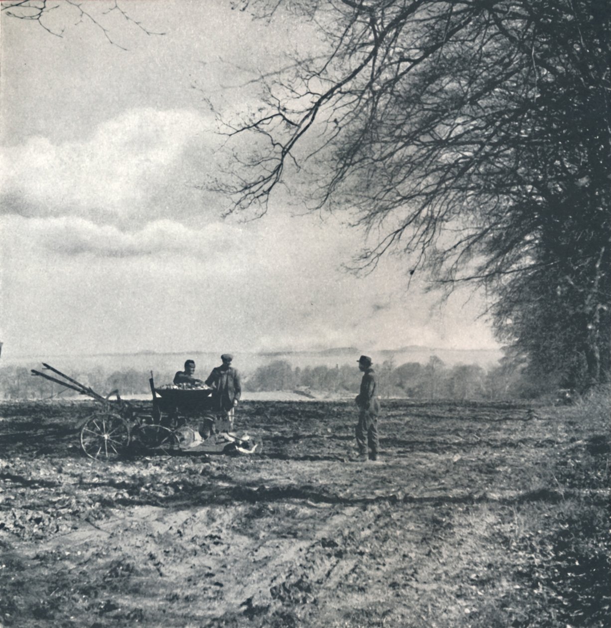 Uzaktan tarla ve karık, 1941 by Cecil Beaton