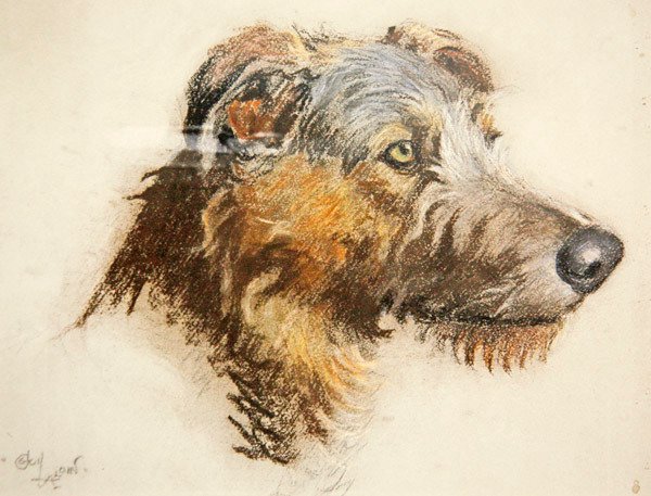 İskoç Geyik Tazısı (renkli kağıt üzerine pastel) by Cecil Charles Windsor Aldin
