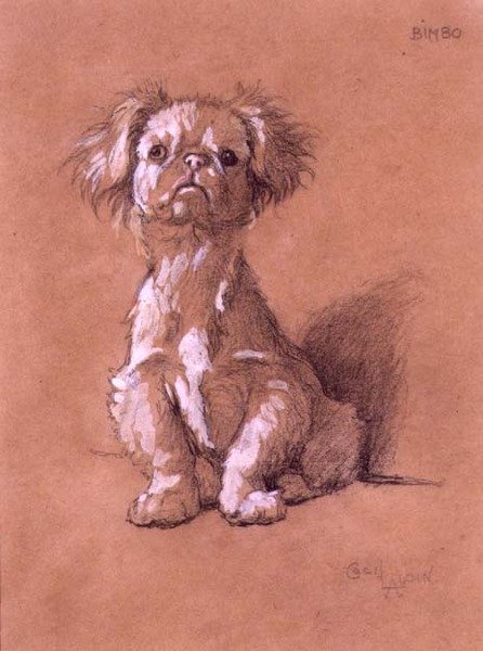 Bimbo (kağıt üzerine kalem ve guaj boya) by Cecil Charles Windsor Aldin