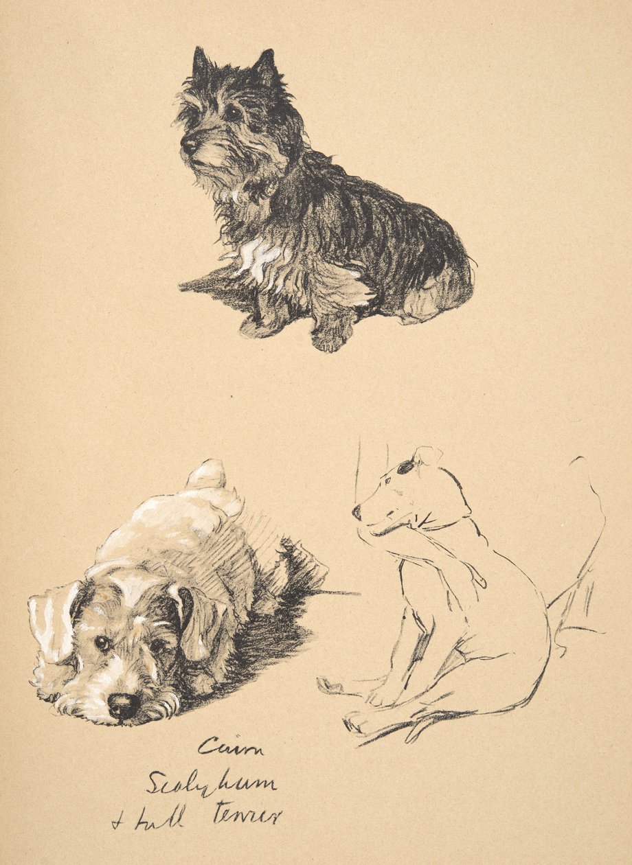 Cairn, Sealyham ve Bull Terrier, 1930, Sadece Arkadaşlar Arasında için kullanılan Eskiz Kitabından Çizimler, Aldin, Cecil Charles Windsor (1870-1935), daha sonra Eyre ve Spottiswoode Limited tarafından yayımlandı, 1934 by Cecil Charles Windsor Aldin