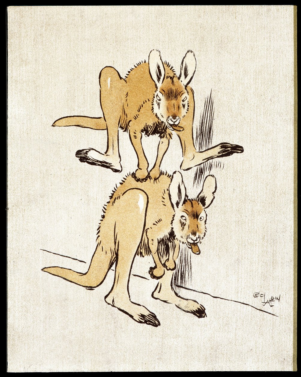 Komik kangurular. İki kanguru koyun zıplaması oynuyor. by Cecil Charles Windsor Aldin