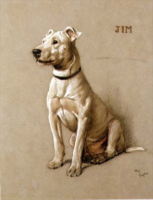 Jim, bir Bull Terrier (gri kağıt üzerinde tebeşir) by Cecil Charles Windsor Aldin