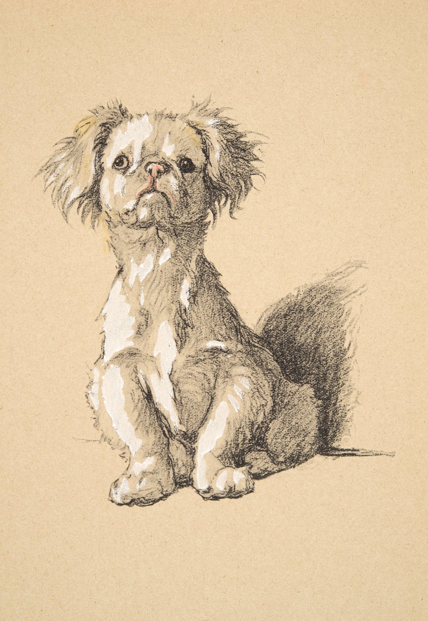 Peke, 1930, Sadece Arkadaşlar Arasında, Aldin, Cecil Charles Windsor (1870-1935) için kullanılan Eskiz Kitabından Çizimler, daha sonra Eyre ve Spottiswoode Limited tarafından yayımlandı, 1934, Kağıt üzerinde Chalk and Charcoal by Cecil Charles Windsor Aldin