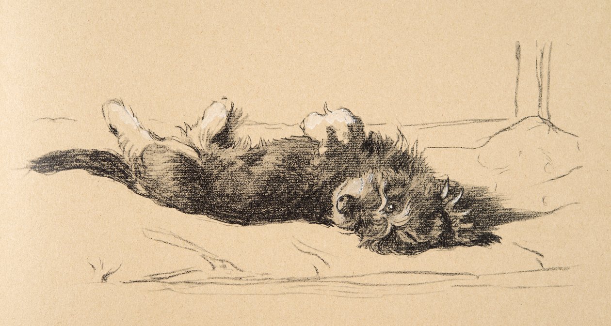Rough Daschund Puppy Detail, 1930, Sadece Friends, Aldin, Cecil Charles Windsor (1870-1935) için kullanılan Sketch Book