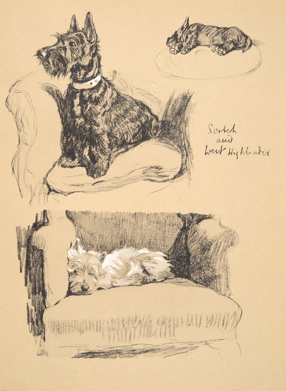 Scotch ve West Highlander, 1930, Sadece Friends, Aldin, Cecil Charles Windsor (1870-1935) için kullanılan Sketch Book